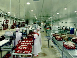 Poultry Industry Conveyors